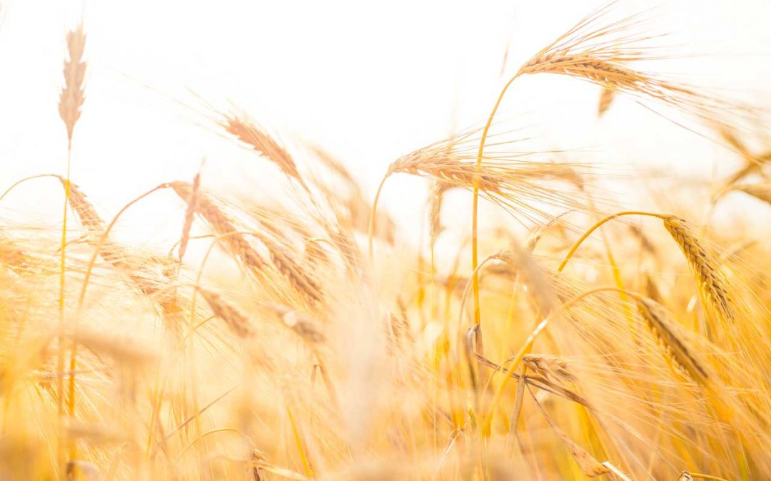 Reducción de carbono y menos residuos