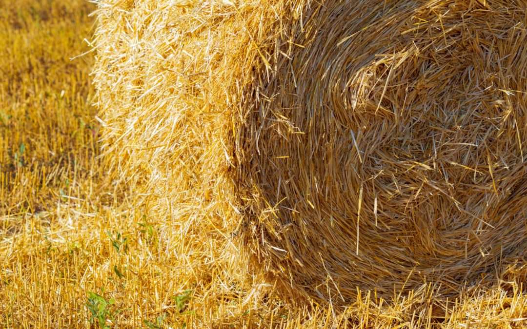 Construcción sostenible y eficiente con Fardos de Paja o Straw Box