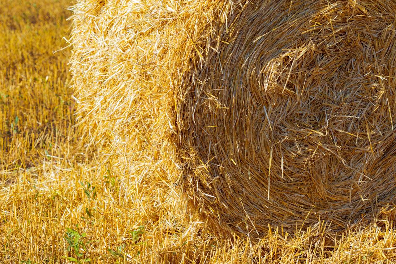 Construcción sostenible y eficiente con Fardos de Paja o Straw Box