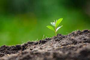 Bioconstrucción un enfoque más saludable